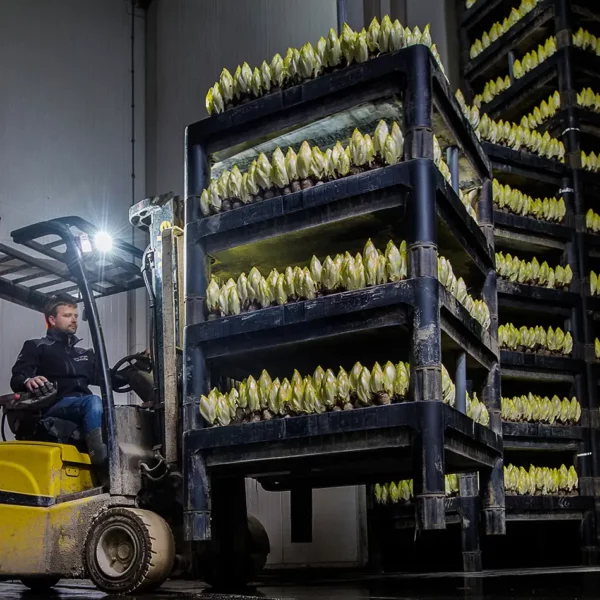 Die Geschwister Nora und Lukas Klimesch