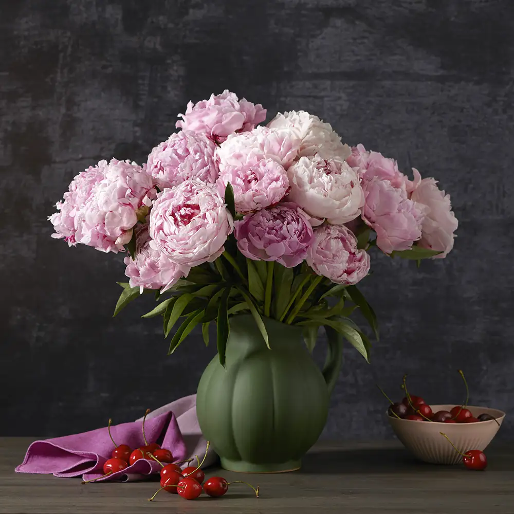 Agrar Klimesch Pfingstrosen rosa in Vase